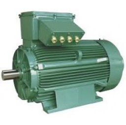 Асинхронные электродвигатели серии FLS (не поставляем)