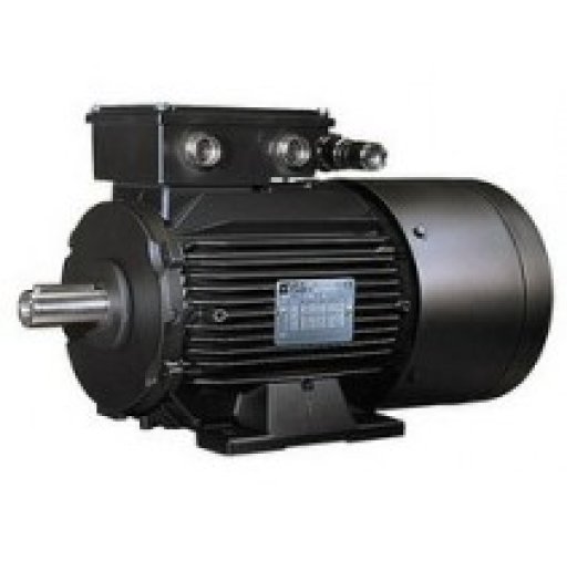 Асинхронные электродвигатели серии LSMV (не поставляем)