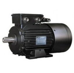 Асинхронные электродвигатели серии LSMV (не поставляем)