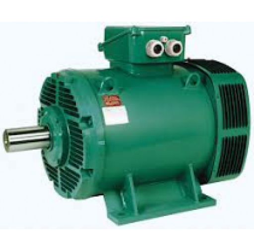 Асинхронные электродвигатели серии PLS (не поставляем)