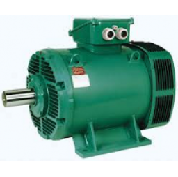 Асинхронные электродвигатели серии PLS (не поставляем)